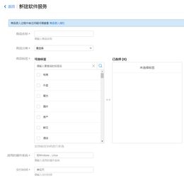 软件服务与软件开发 创新驱动下的双核引擎