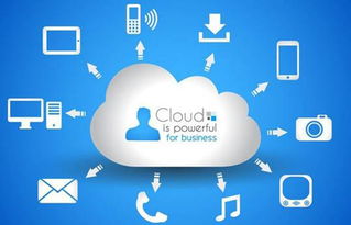 专业服务公司如何精准选择管理软件云SaaS服务